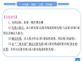 沪科版八年级物理上第四章多彩的光专题六光学作图习题课件