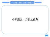 沪科版八年级物理上第六章熟悉而陌生的力专题九力的示意图习题课件