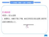 沪科版八年级物理上第六章熟悉而陌生的力专题九力的示意图习题课件