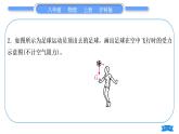 沪科版八年级物理上第六章熟悉而陌生的力专题九力的示意图习题课件