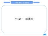 北师大版八年级物理下第七章运动和力专题一力的作图习题课件