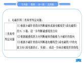 北师大版九年级物理第十四章磁现象专题十电磁作图习题课件