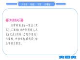 粵滬版八年級物理下第六章力和機(jī)械6.5  探究杠桿的平衡條件第1課時杠桿及杠桿的平衡條件習(xí)題課件