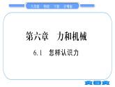 粤沪版八年级物理下第六章力和机械6.1怎样认识力习题课件