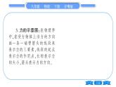 粤沪版八年级物理下第六章力和机械6.2怎样测量和表示力习题课件