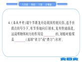 粤沪版八年级物理下第六章力和机械中考热点专练习题课件