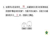 人教版九年级物理下册20.1磁现象磁场课件