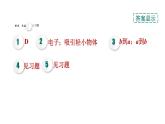 人教版九年级物理下册滚动小练11[电流和电路]课件