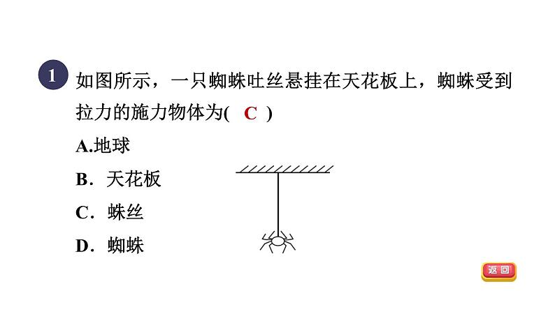 人教版八年级物理下册第7章集训课堂练素养力的认识和探究课件第3页