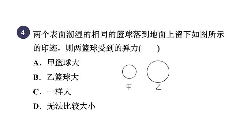 人教版八年级物理下册第7章集训课堂练素养力的认识和探究课件第6页