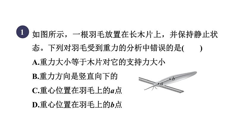 人教版八年级物理下册第八章集训课堂练素养二力平衡条件的综合运用课件第3页