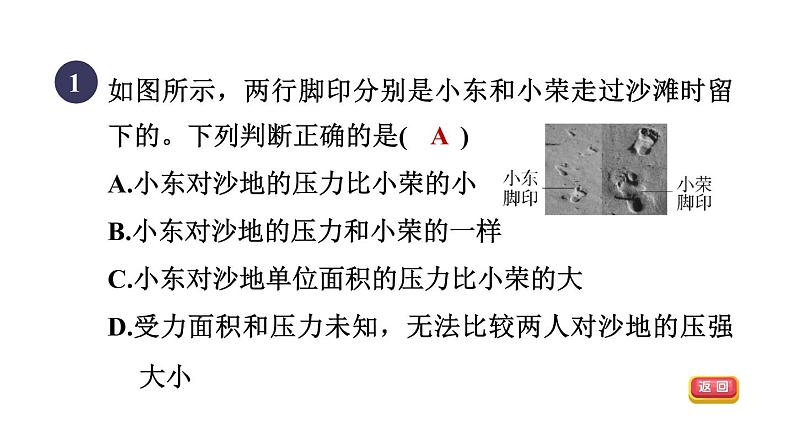 人教版八年级物理下册第九章全章高频考点专训课件第3页