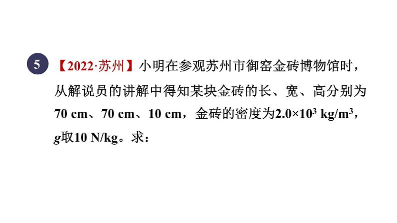 人教版八年级物理下册第九章全章高频考点专训课件第8页