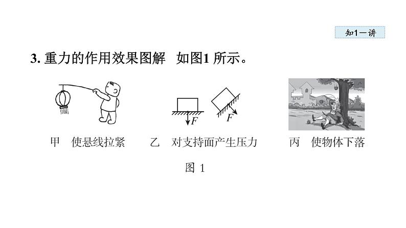 人教版八年级物理下册7-3重力教学课件05