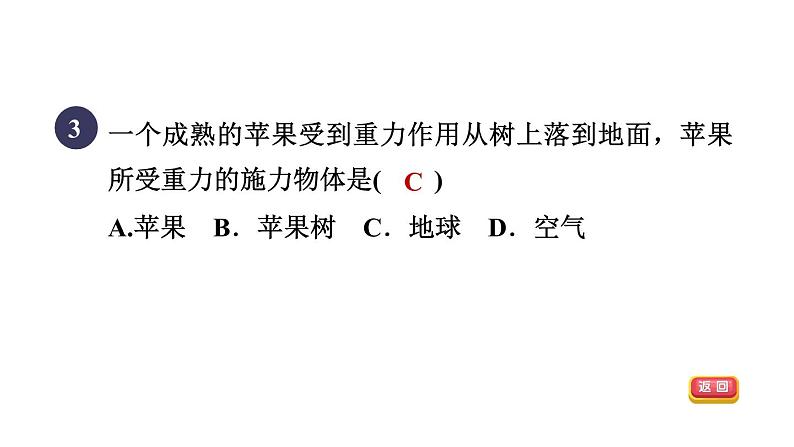 人教版八年级物理下册7-3-1目标一重力及其大小课件第5页