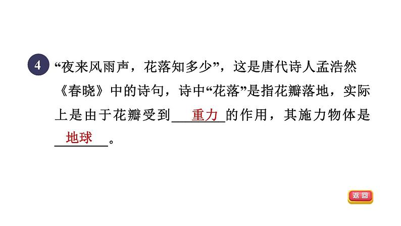 人教版八年级物理下册7-3-1目标一重力及其大小课件第6页