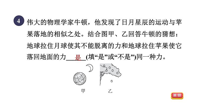 人教版八年级物理下册7-3-2目标二重力的作用点和由来课件第7页