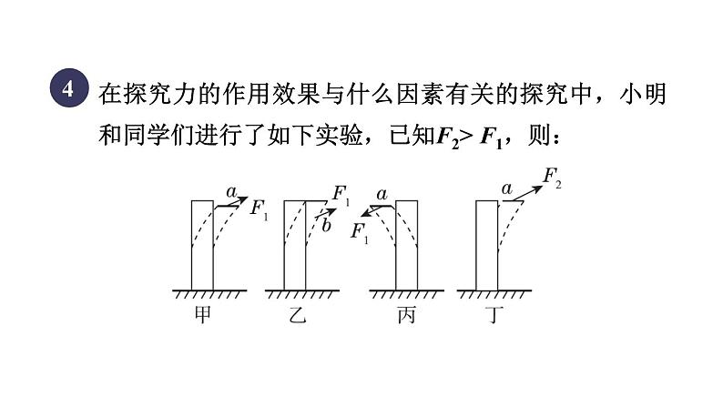 人教版八年级物理下册第7章全章高频考点专训课件第6页