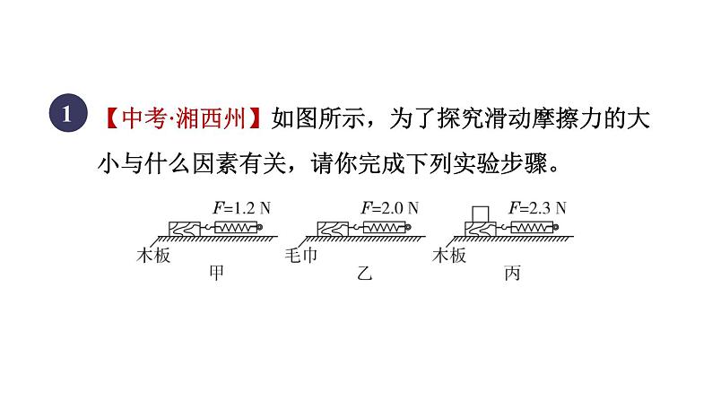 人教版八年级物理下册8-3-1目标二探究滑动摩擦力大小的影响因素课件第3页