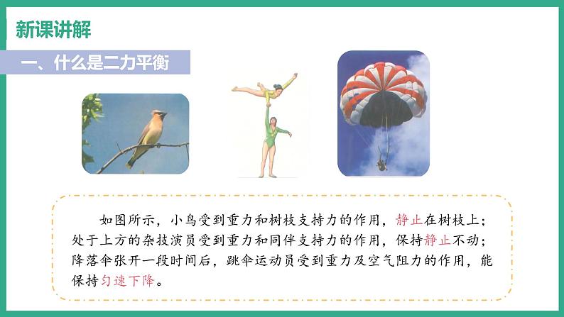 7.4 探究物体受力时怎样运动 （课件+教案） 2022-2023学年沪粤版物理八年级下册05