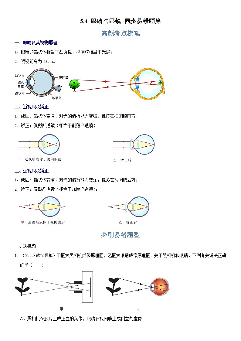 5.4 眼睛与眼镜（原卷+解析）-2022-2023学年八年级物理上册学优生重难点易错题精练（人教版）01