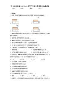 广东省东莞市2022-2023学年八年级上学期期中物理试题(含答案)