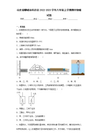 山东省聊城市阳谷县2022-2023学年八年级上学期期中物理试题(含答案)