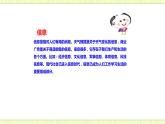 第十九-二十章 走進(jìn)信息時(shí)代 能源、材料與社會(huì) 課件+試卷