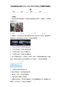 甘肃省陇南市成县2022-2023学年八年级上学期期中物理试题(含答案)