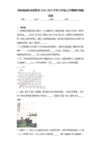 河南省南阳市新野县2022-2023学年八年级上学期期中物理试题(含答案)