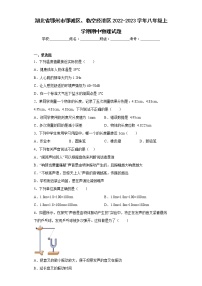 湖北省鄂州市鄂城区、临空经济区2022-2023学年八年级上学期期中物理试题(含答案)