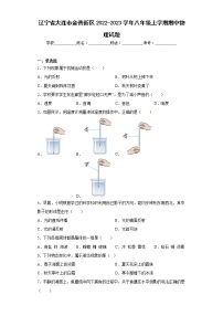 辽宁省大连市金普新区2022-2023学年八年级上学期期中物理试题(含答案)