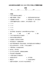 山东省菏泽市定陶区2022-2023学年八年级上学期期中物理试题(含答案)