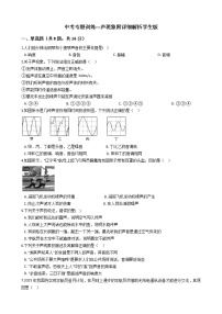 中考专题训练---声现象附详细解析学生版