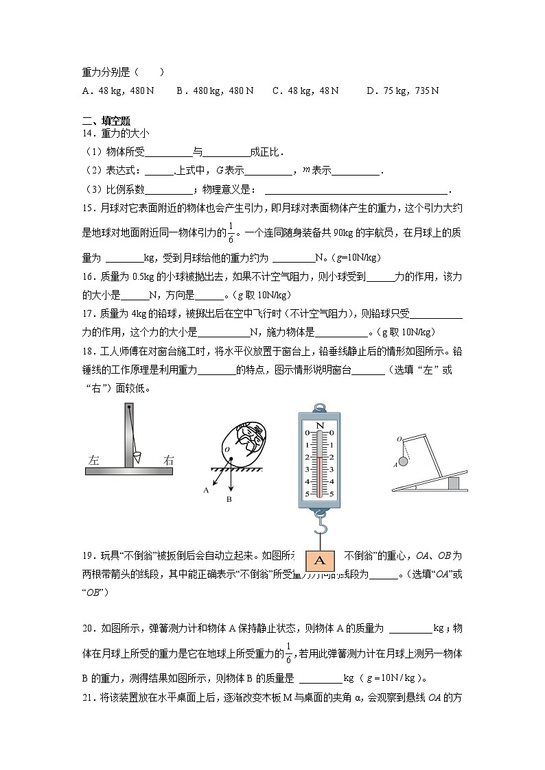 人教八下物理  7.3 重力  同步练习03