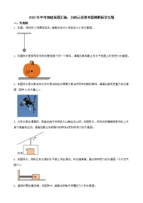 2022年中考物理真题汇编：力的示意图专题附解析学生版