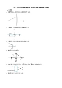 2022年中考物理真题汇编：透镜作图专题附解析学生版