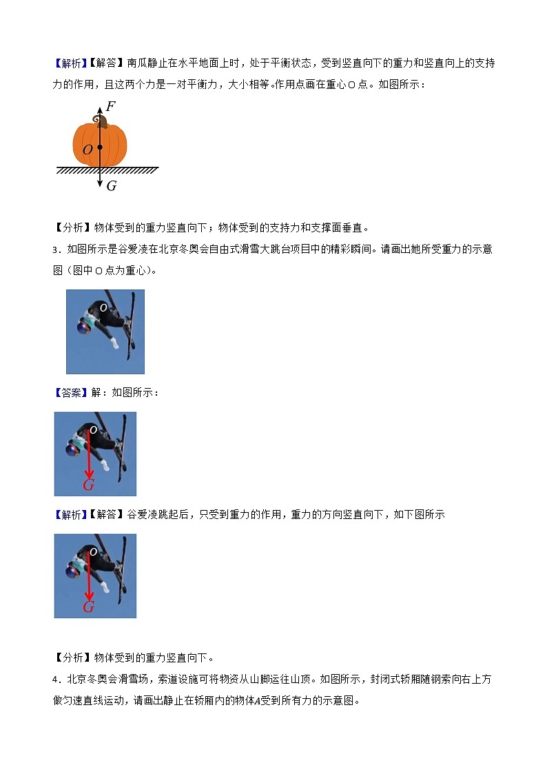 2022年中考物理真题汇编：力的示意图专题附解析教师版第2页