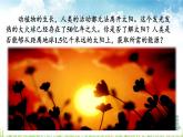 新人教版初中九年级物理下册《第3节  太阳能》课件