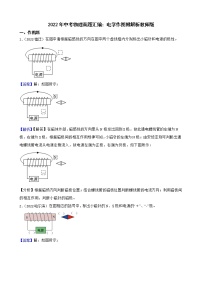 2022年中考物理真题汇编：电学作图附解析