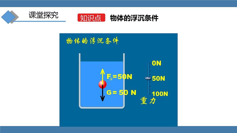 人教版八年级物理下册课件 10.3 物体的浮沉条件及应用 第一课时第5页