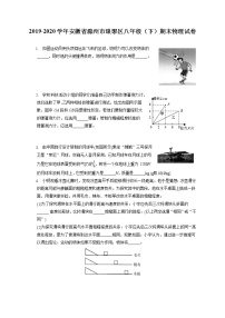 安徽省滁州市琅琊区2019-2020学年八年级下学期期末物理试题