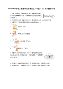 安徽省淮北市濉溪县2019-2020学年八年级下学期期末物理试题