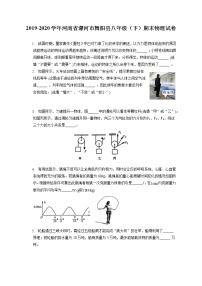 河南省漯河市舞阳县2019-2020学年八年级下学期期末物理试题