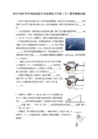 河南省新乡市延津县2019-2020学年八年级下学期期末物理试题