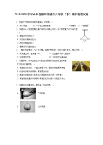 山东省德州禹城市2019-2020学年八年级下学期期末物理试题