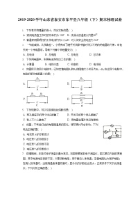 山东省泰安市东平县2019-2020学年八年级下学期期末物理试题