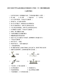 山东省泰安市新泰市2019-2020学年八年级下学期期末物理试题（五四学制）