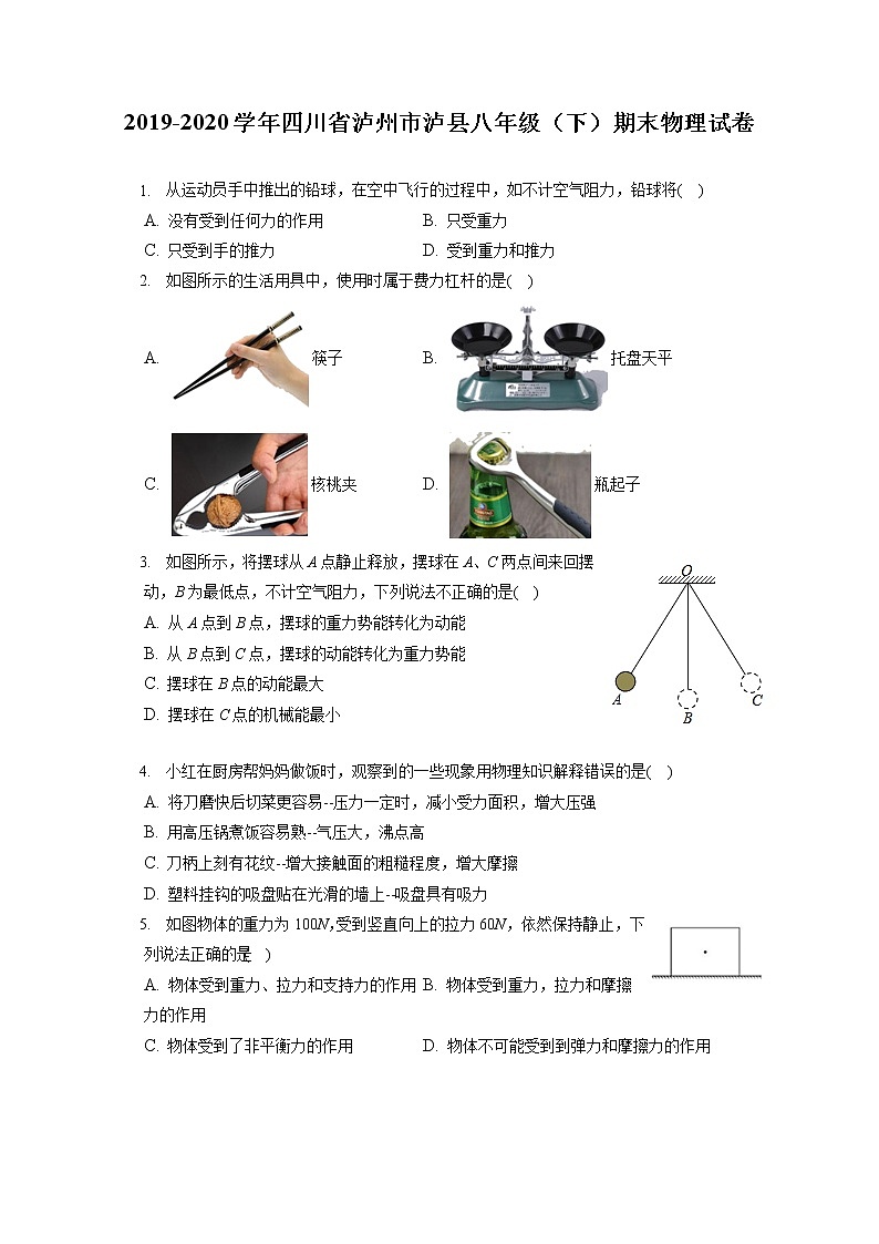 四川省泸州市泸县2019-2020学年八年级下学期期末物理试题第1页