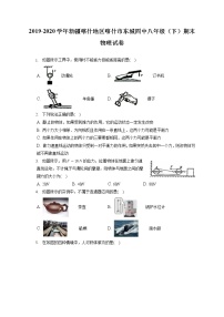 新疆喀什地区喀什市东城四中2019-2020学年八年级下学期期末物理试题